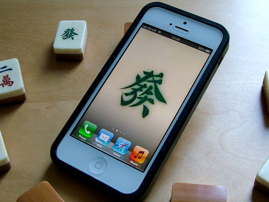 TwigCaseBambooFrontScreen.jpg