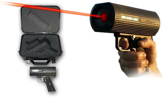 laser-gun.jpg