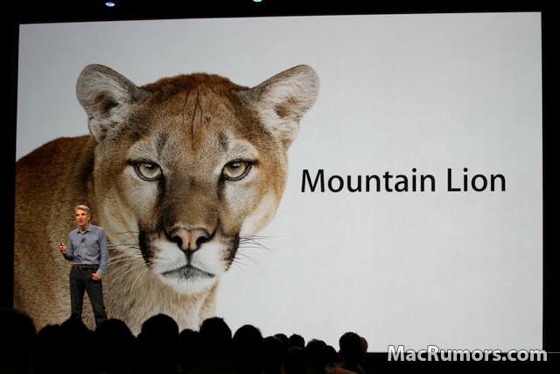 mountainlion560.jpg