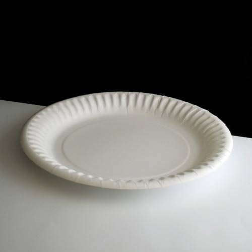 paper-plate7-l.jpg
