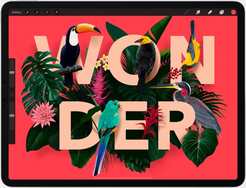 procreate-typography-800x613.jpg