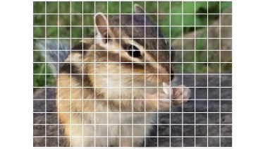 192pointautofocus.jpg
