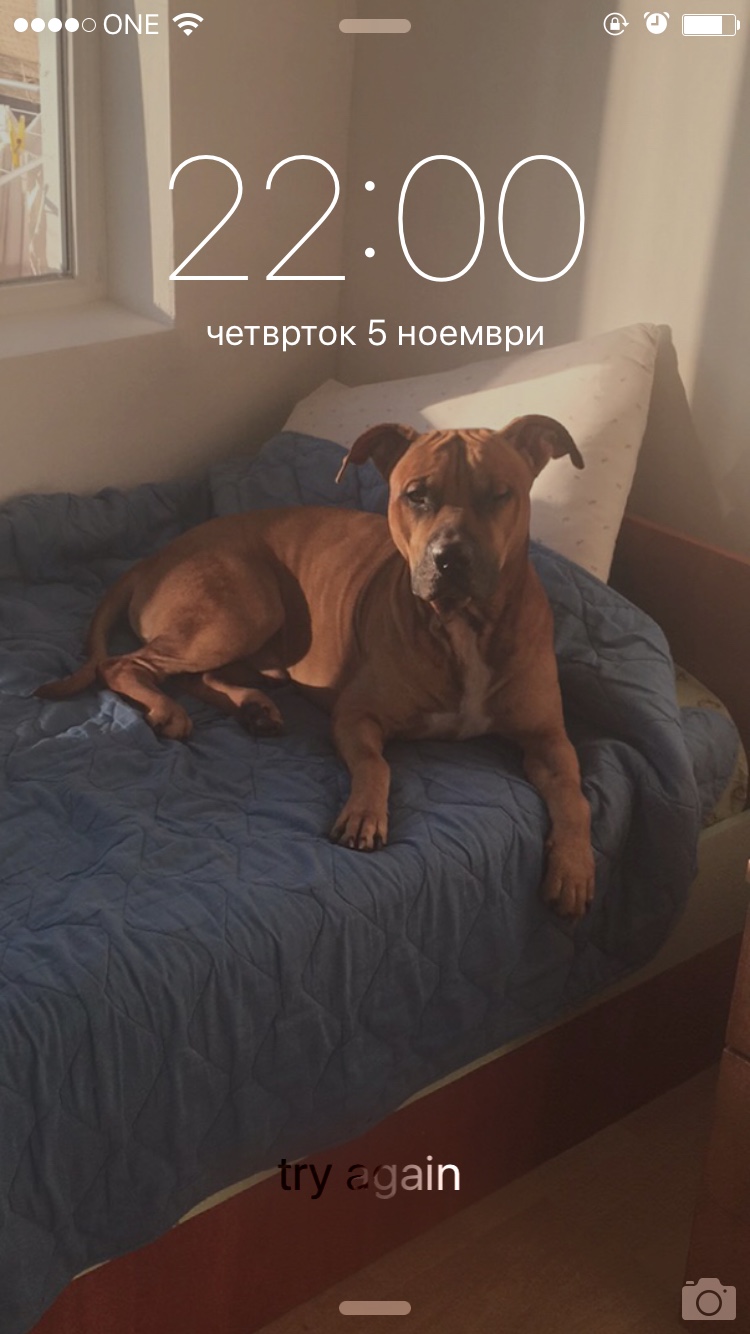 049132b0a10726e31e11d2651719ddee.jpg