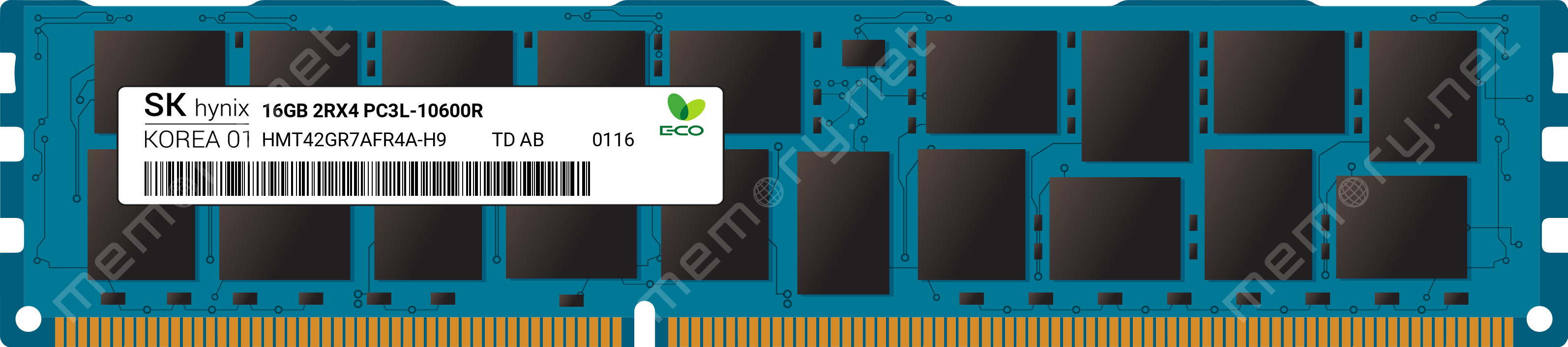 memory.net