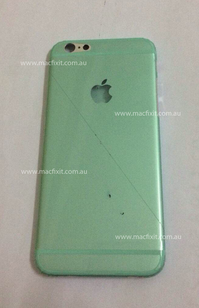 Back-Cover.jpg