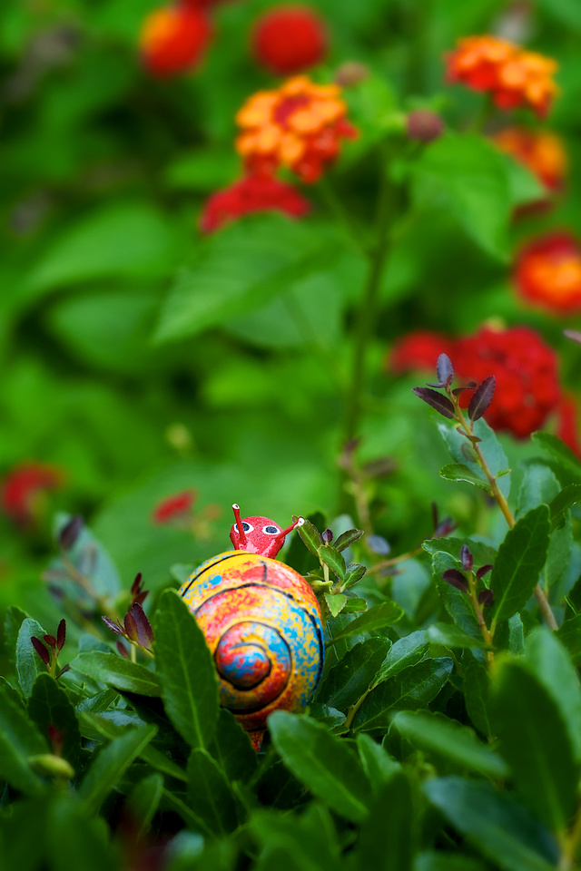 p796886673-6.jpg