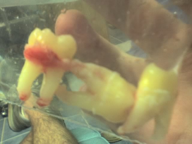 08-18-08_1105.jpg