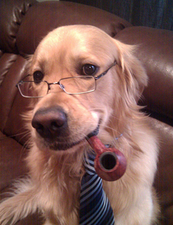 dog_with_glasses_tie_pipe_zpse28a9dcb.jpg