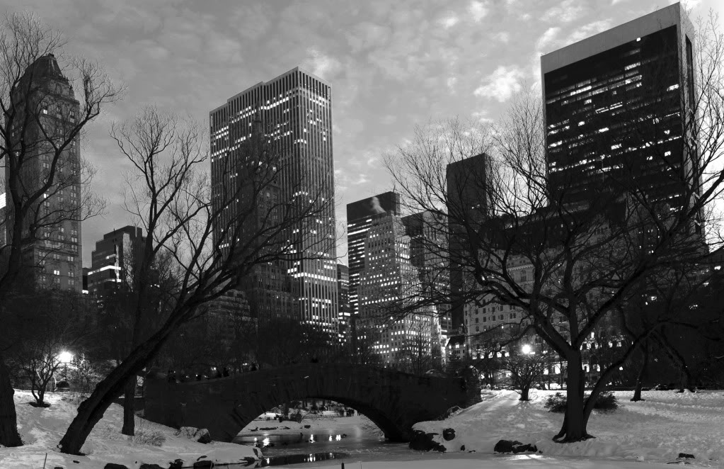 IMG_5003bw812.jpg