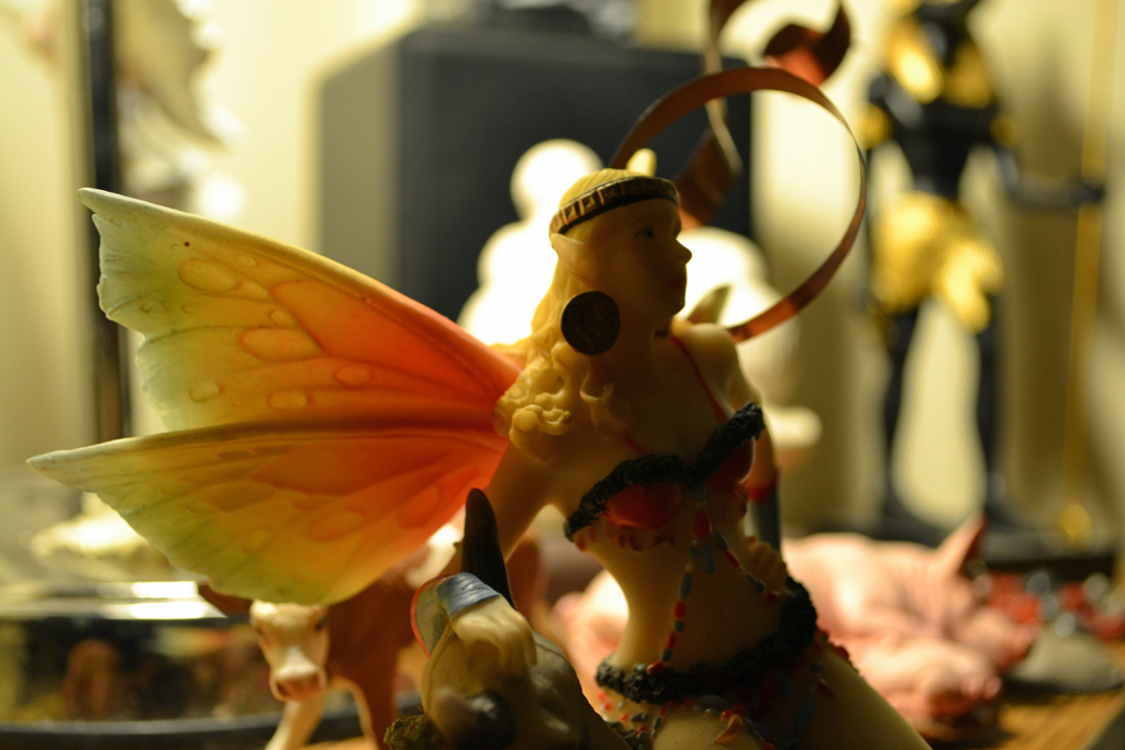 wings-31.jpg