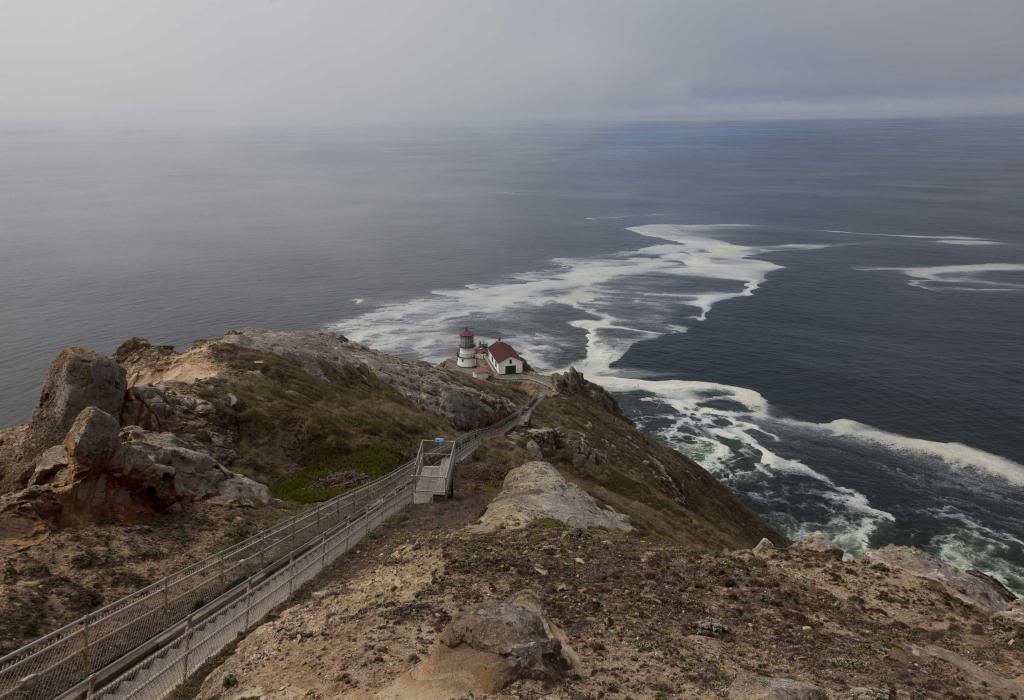 pointreyes3b.jpg