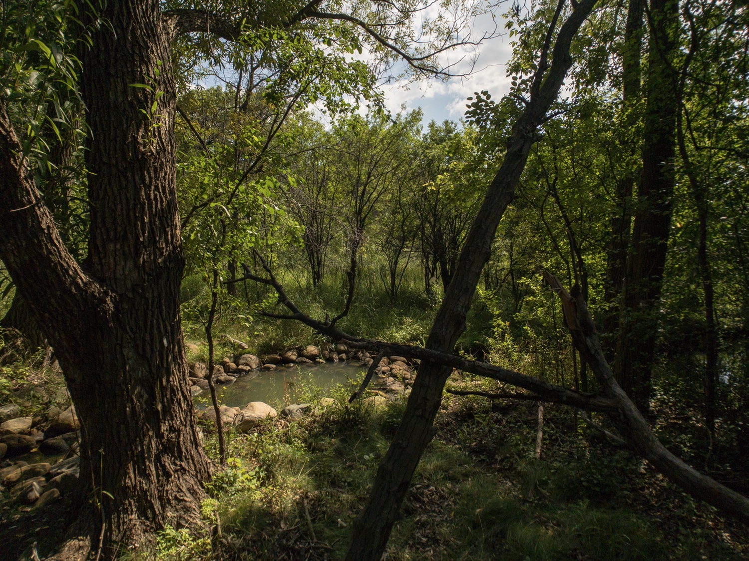 c5f225617434a0fdf323c2210b207c82.jpg