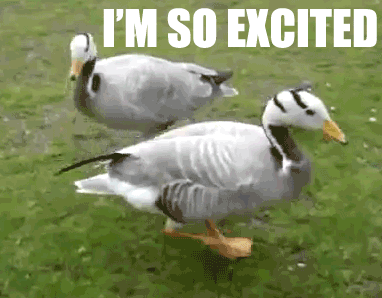 DuckImSoExcited.gif