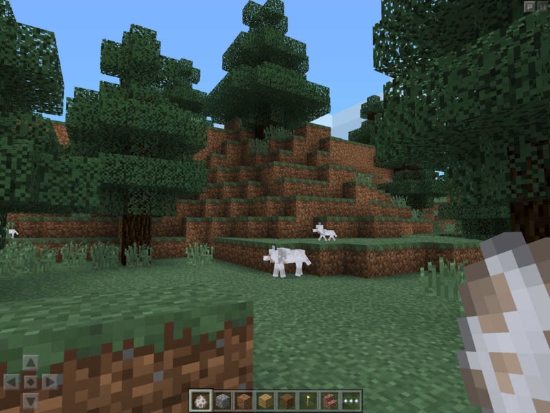 minecraftpocket.jpg