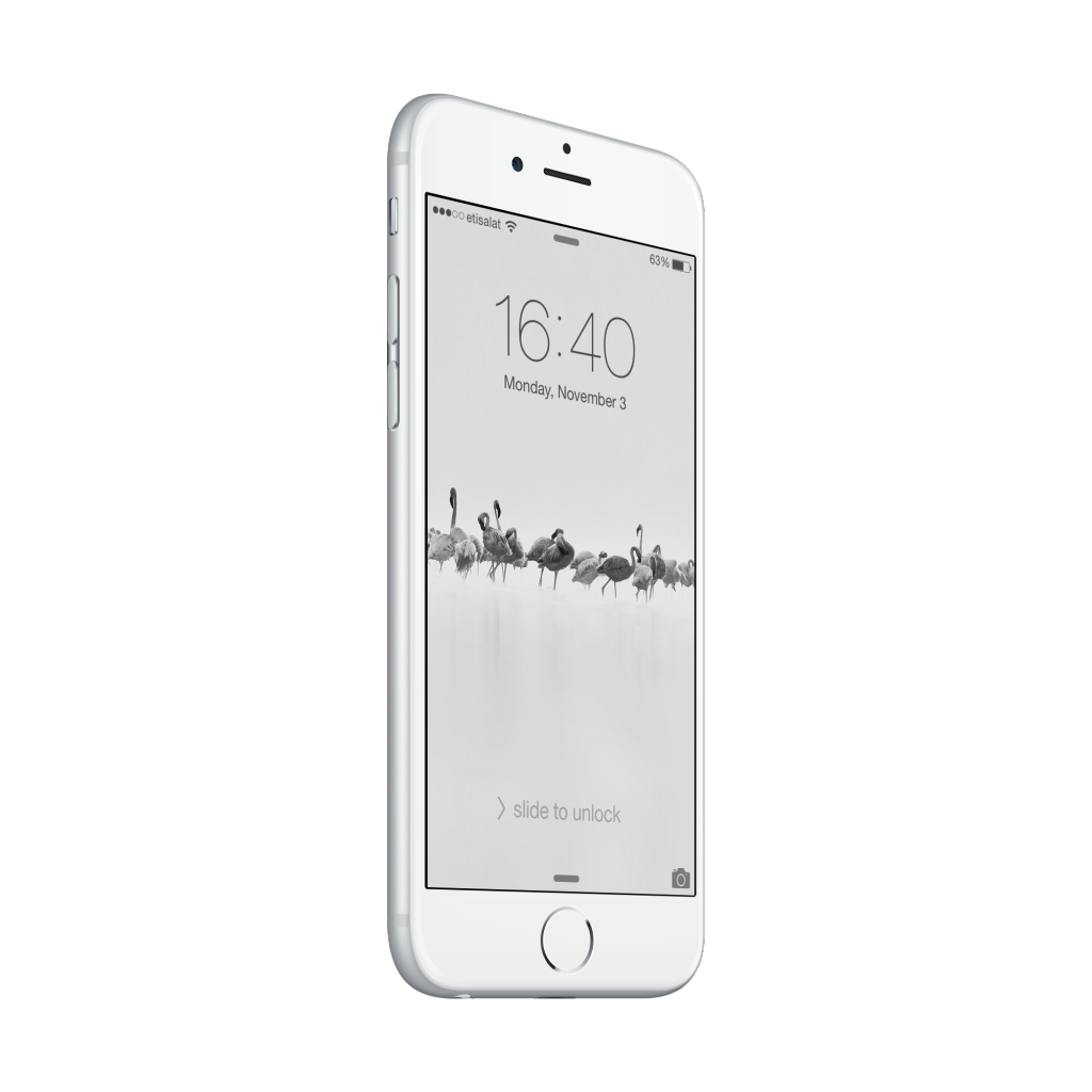 IMG_4607_iphone6_silver_side1_zps4c366a74.png