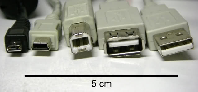 npm1br.jpg