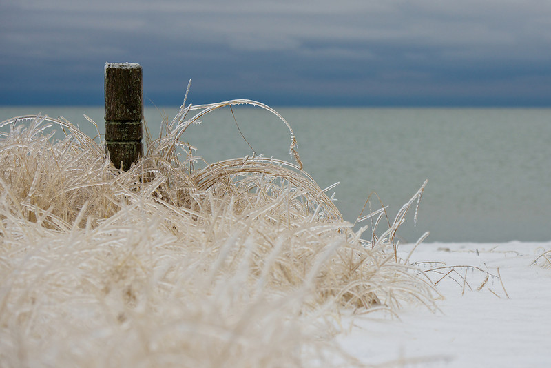 PHD_0416-L.jpg