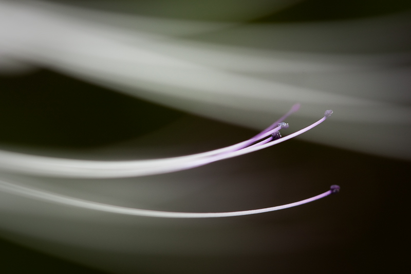 3521284304_743fd106c0_o.jpg