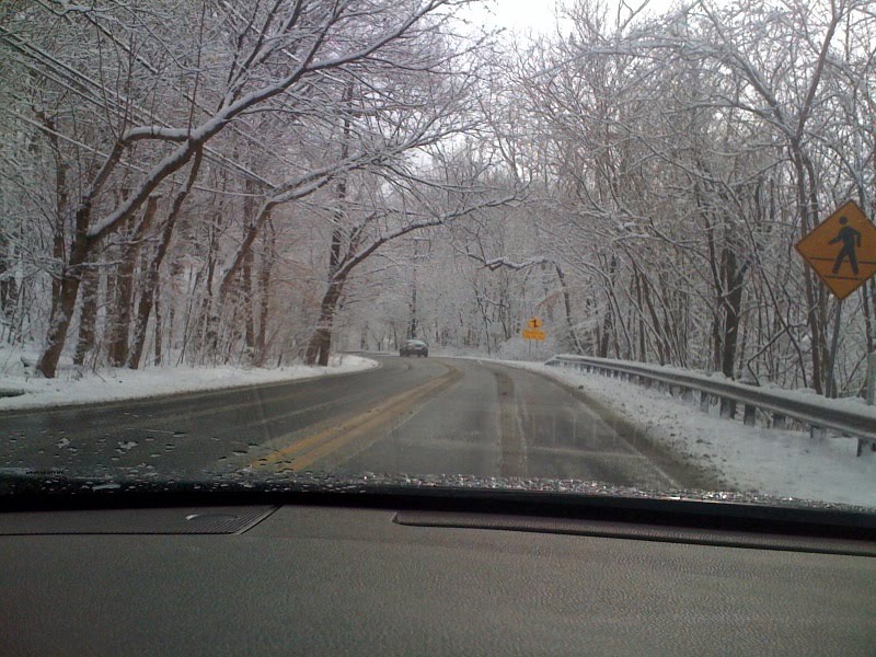 photo3.jpg