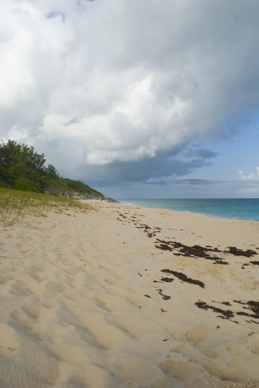 beacheast1.jpg