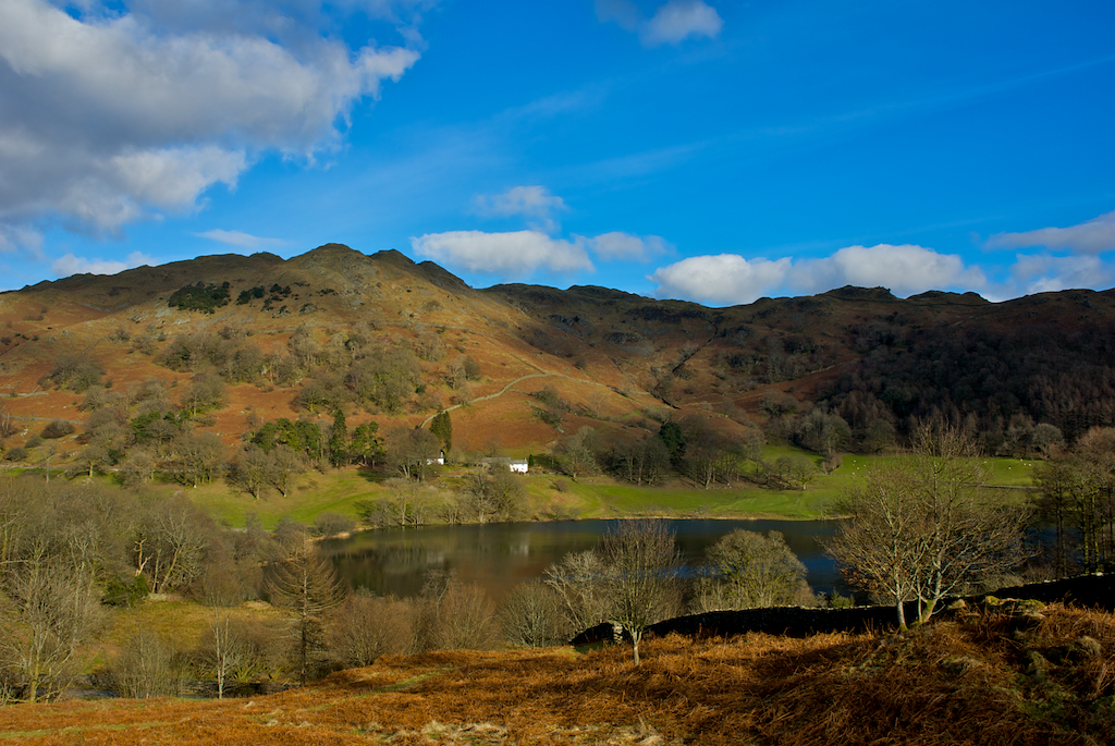 loughriggtatns.jpg