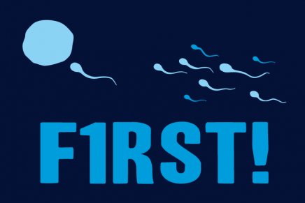 bustedtees.f4bdaab8d31c547a4e4668b189b0d5f6.gif