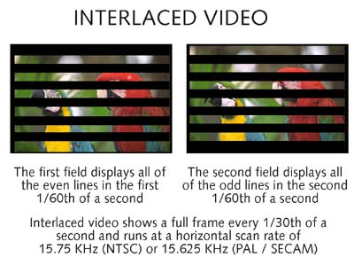 interlce.jpg