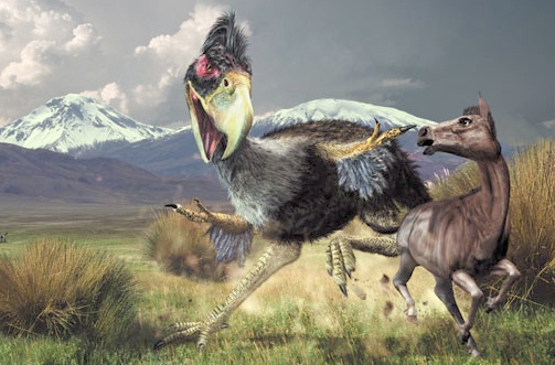 terror-bird.jpg