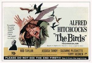 birds-300x205.jpg
