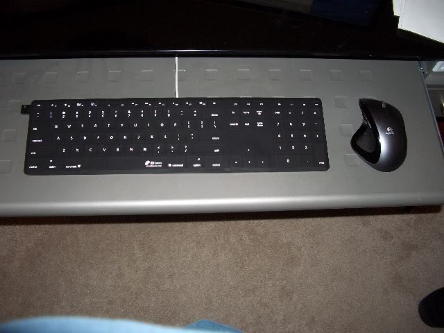 CIMG1394.jpg