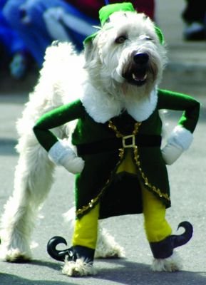 1300222876_embarrassing_dog_costume10.jpg