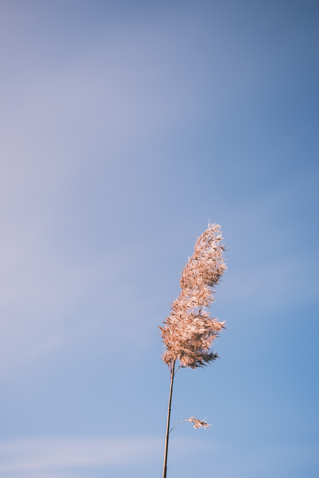 DSCF3538.jpg