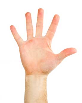 hand_brain_model.jpg