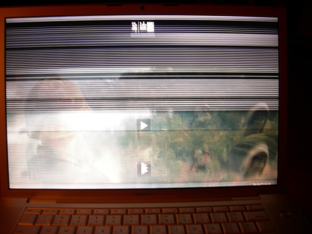 DSCN5370.jpg