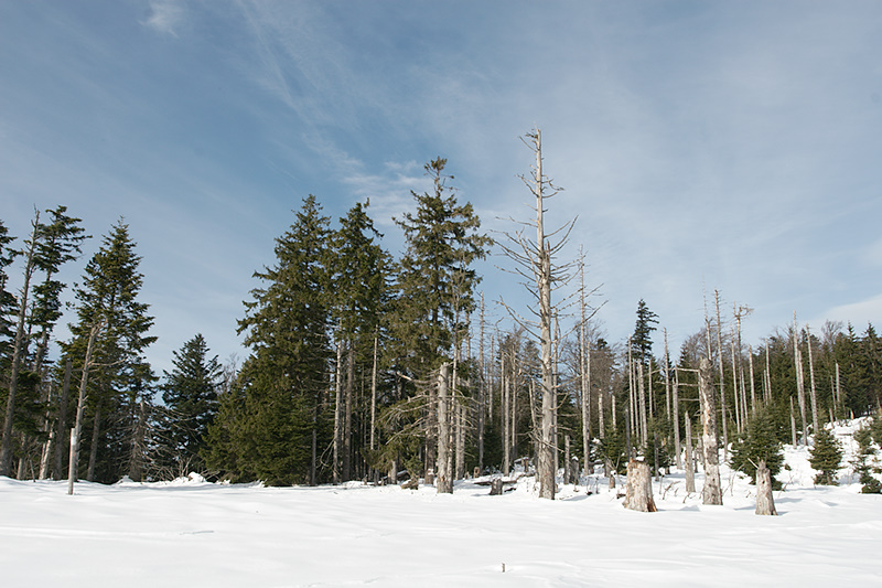 vogezen-0034.jpg
