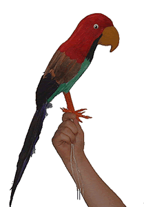 pirate-parrot.gif