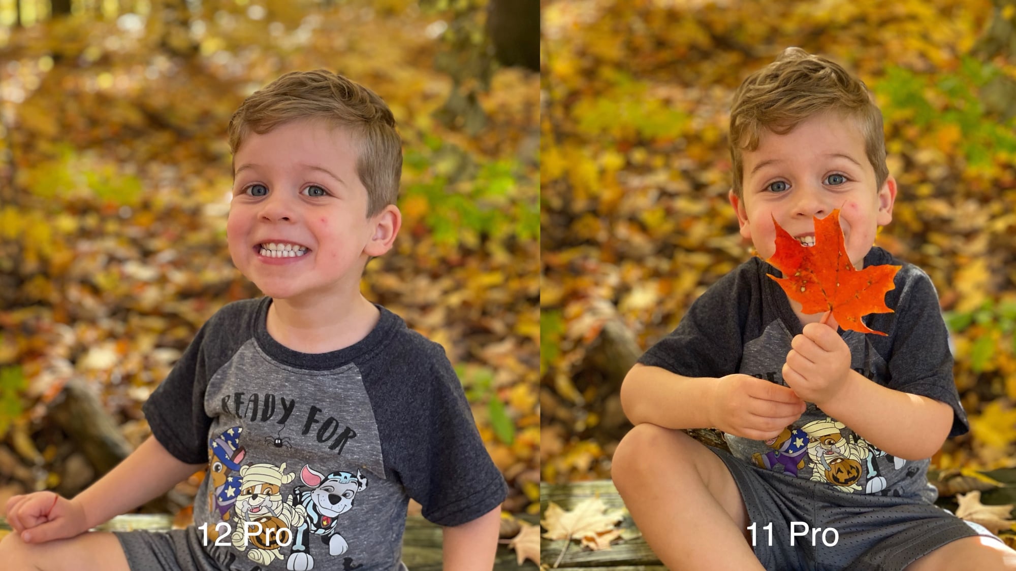 Camera Comparison Iphone 12 Pro Vs Iphone 11 Pro Macrumors Forums