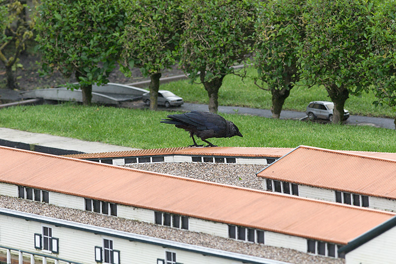 madurodam-0008.jpg