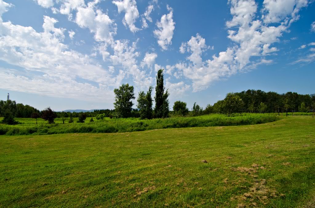 lakesuperiorday2011_27.jpg