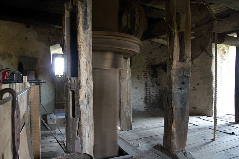 distelheide0059.jpg
