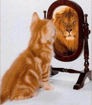 confidence1.jpg