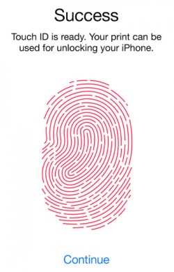 touch_id-250x390.jpg