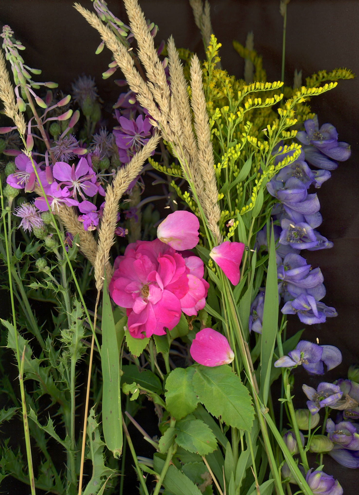 flowers2a.jpg