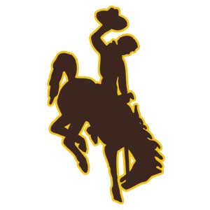wyo-strength-logo.jpg