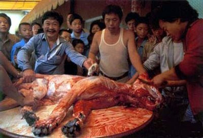 animal-cruelty.jpg
