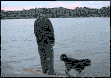 tumblr_l1v5at6ZYB1qzado8o1_250.gif