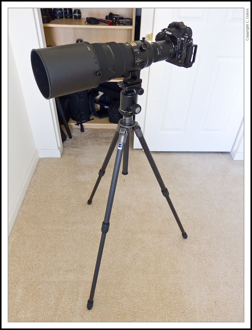 tripod-0265.jpg