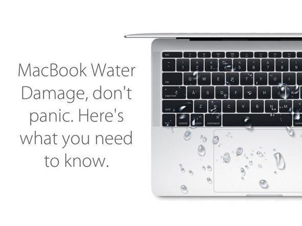 www.ifixit.com
