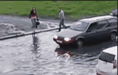 1363431993587608526.GIF