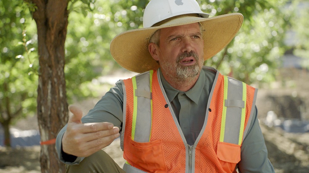 apple-park-tree-guy.jpg